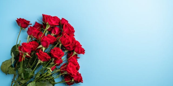 Cómo conservar un ramo de rosas: 8 consejos indispensables